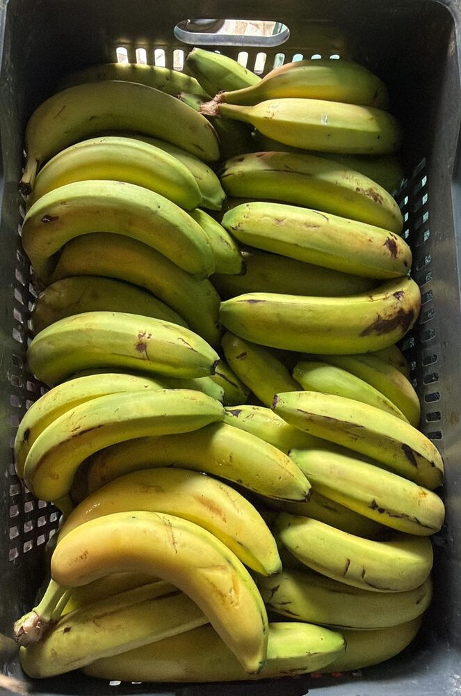 Bananes douces