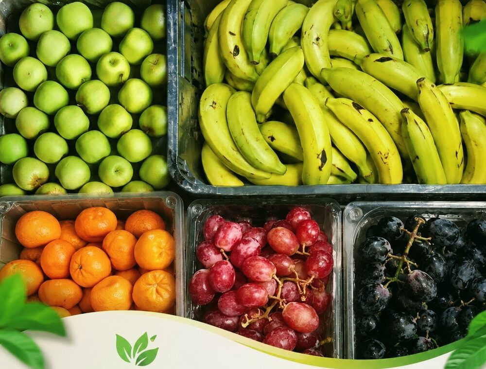 Assortiment de fruits frais Steben Direction