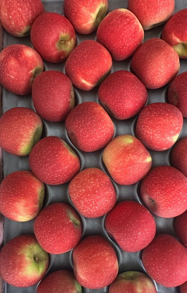 Pommes rouges
