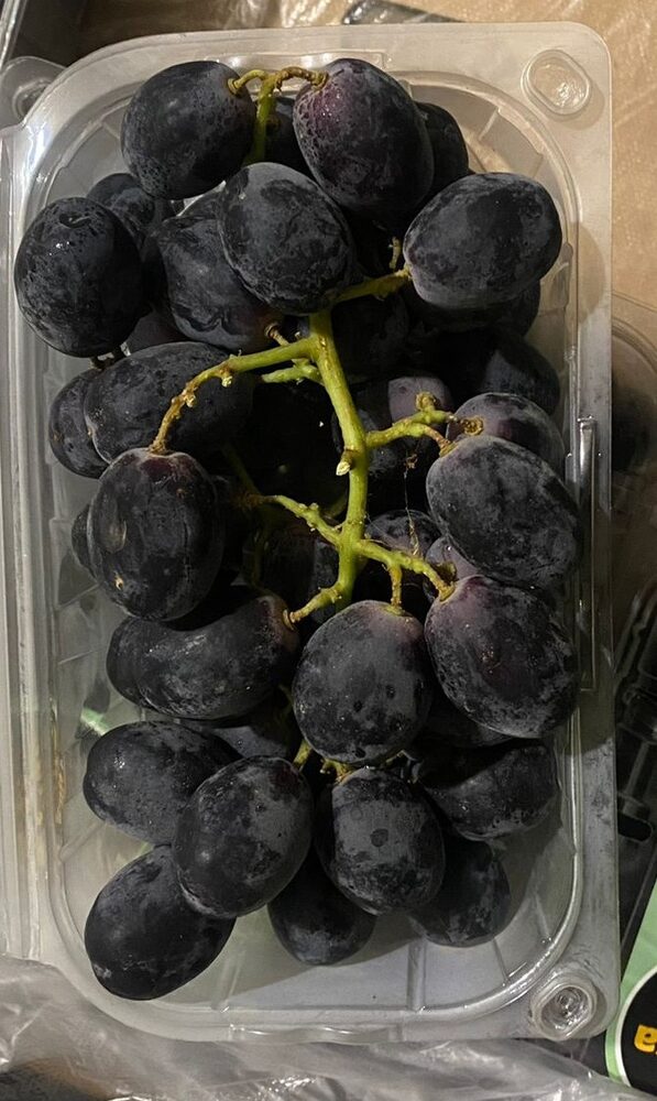 Raisins noirs